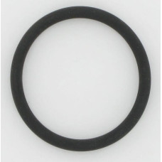 CNH O-Ring  17289281