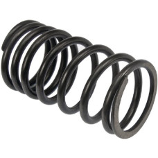 Vapormatic Valve spring  VPA2004