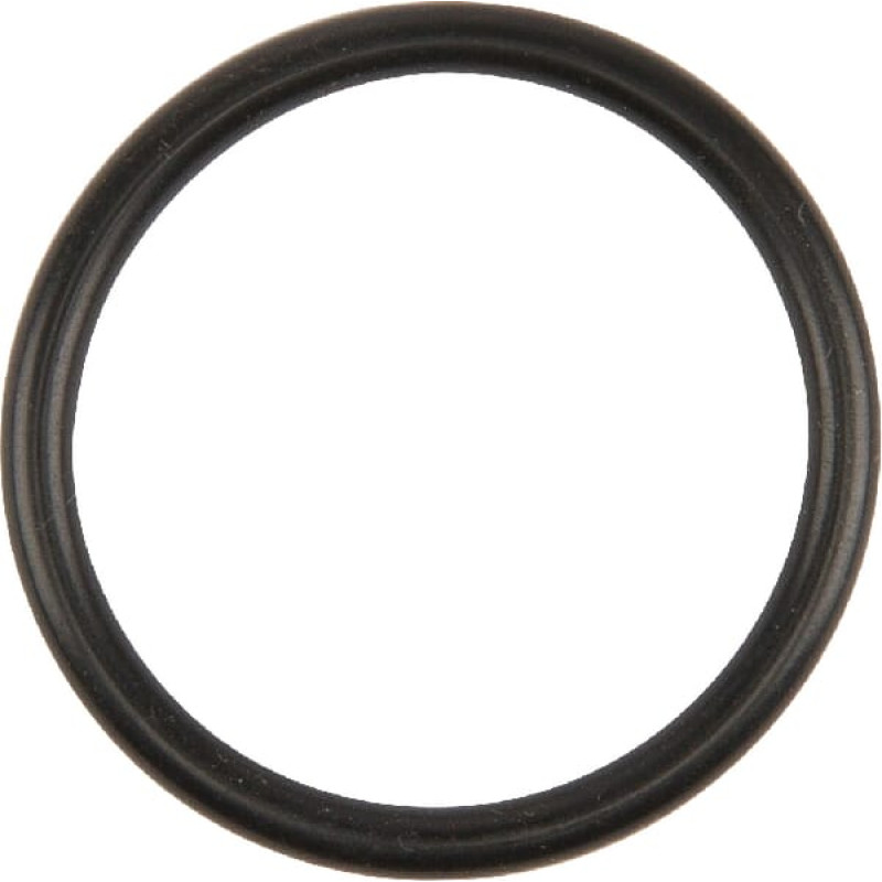 CNH Ring  717068R1