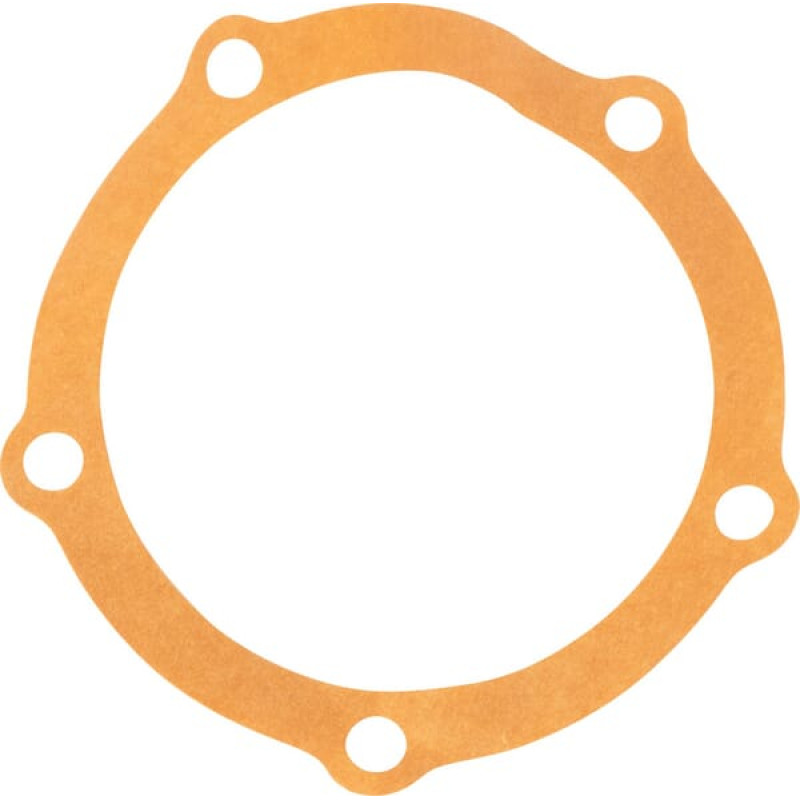 CNH Gasket  81804648