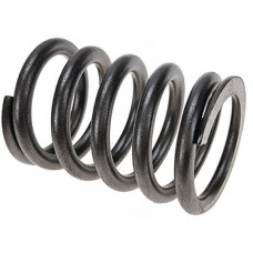 Vapormatic Valve spring  VPA2005