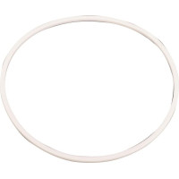 CNH Seal  A183534