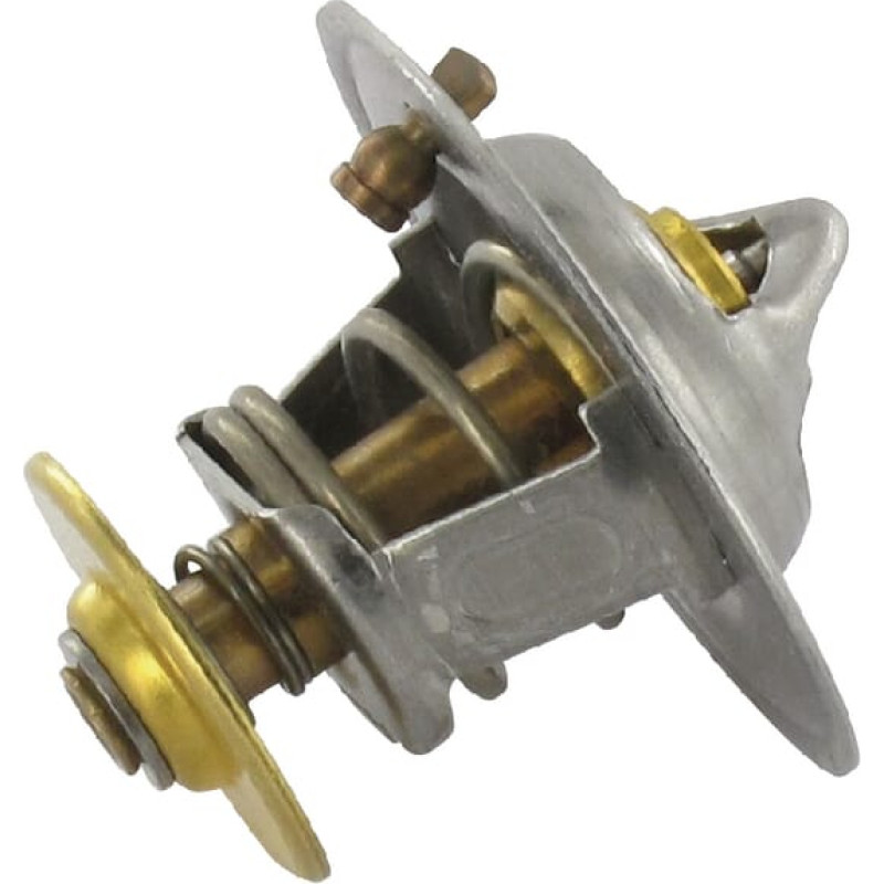 CNH Thermostat  504038890