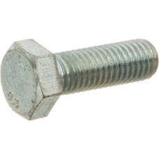 New Holland Drum cover plate bolt  300389