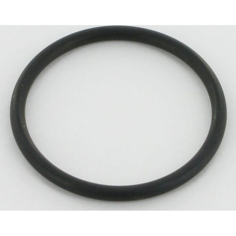 Case Ih O-ring for fuel pump  3055389R2