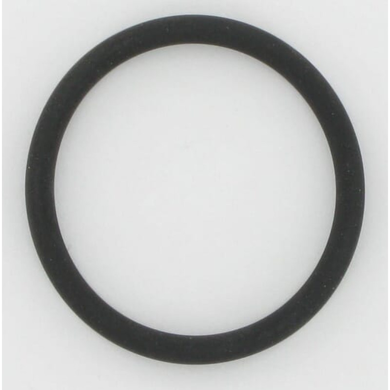 CNH Gasket  86625098