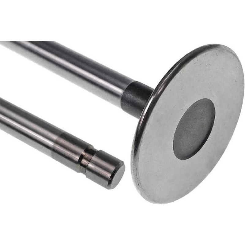 Vapormatic Exhaust valve  VPA1021