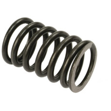 Vapormatic Valve spring  VPA2010