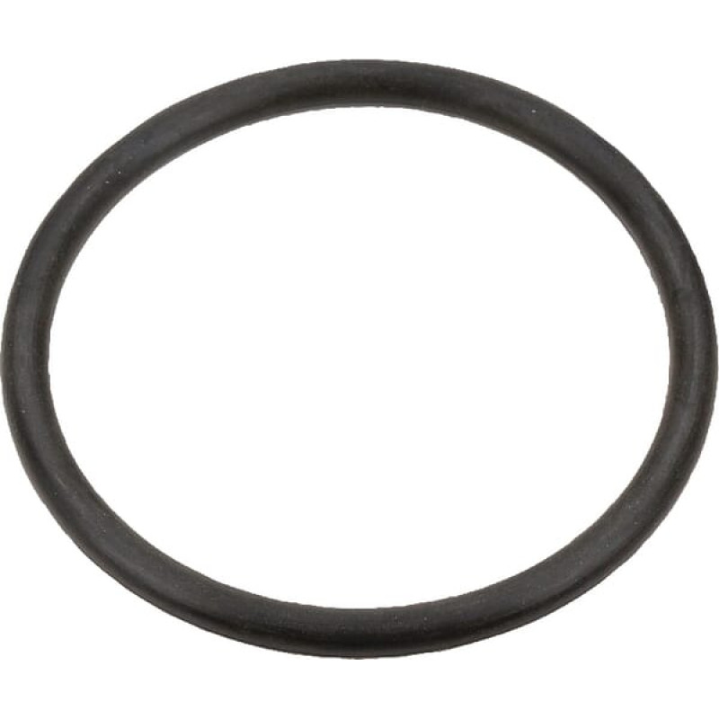 Case Ih O-ring   3131661R1