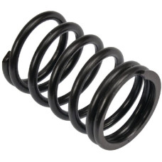 Vapormatic Valve spring  VPA2014