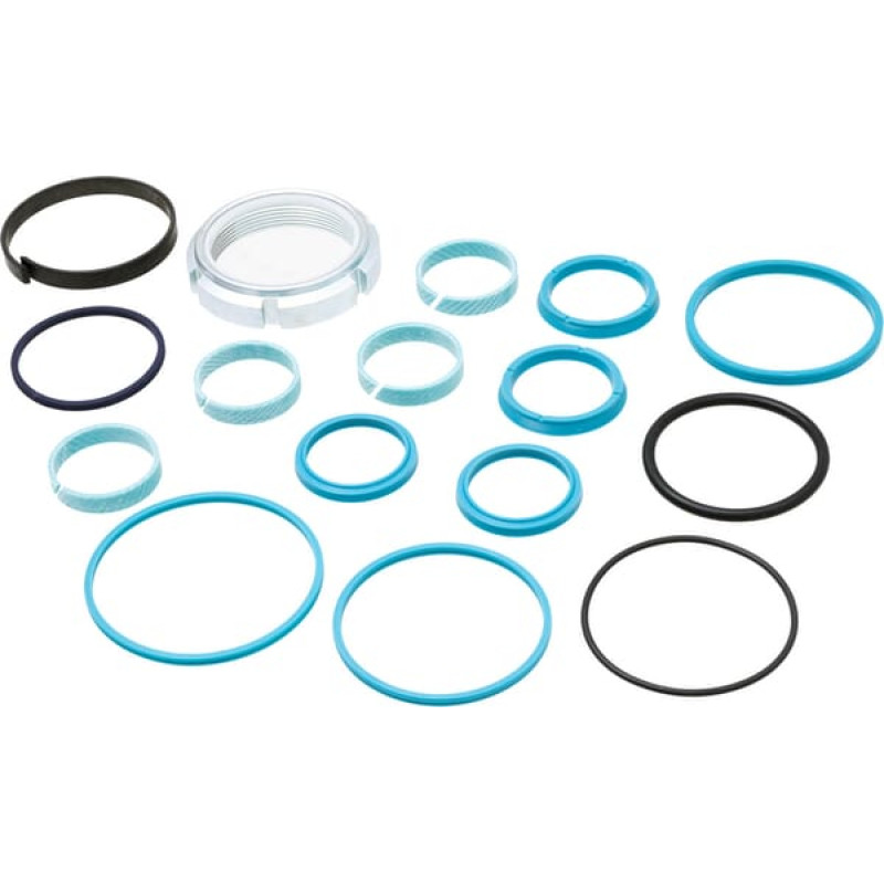 Vapormatic Ram seal kit  VPJ4094