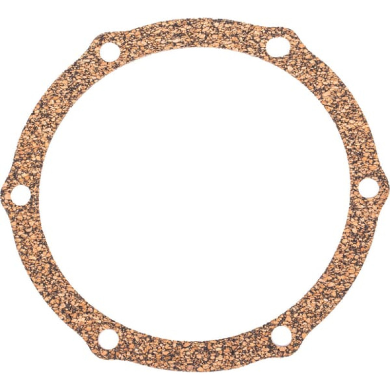 CNH Gasket  4600633