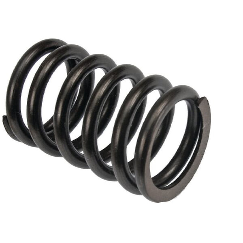 Vapormatic Valve spring  VPA2022