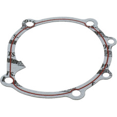 New Holland Water pump gasket  98400794