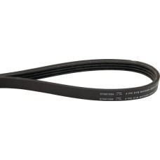 CNH V-belt  87681594