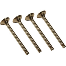 Vapormatic Exhaust valve  VPA1450