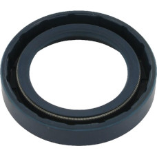 Case Ih Oil seal for differential  21969DA