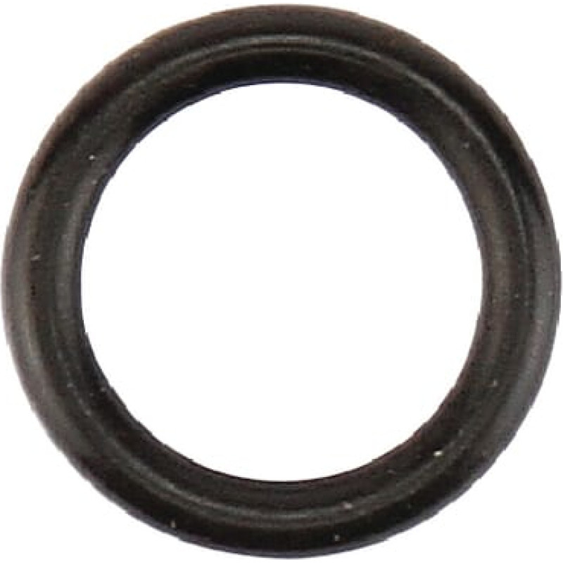 CNH O-ring  717012R1