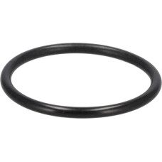 Case Ih O-ring  3147943R1