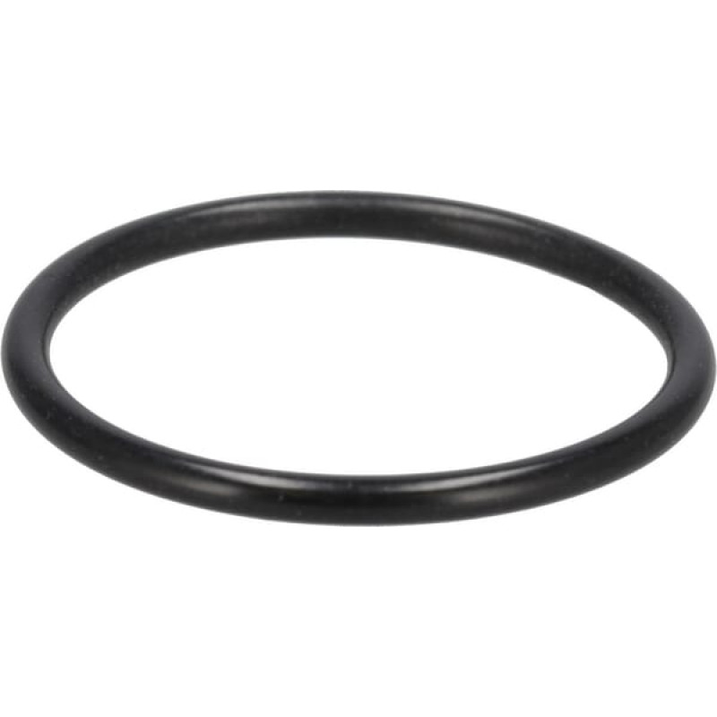 Case Ih O-ring  3147943R1