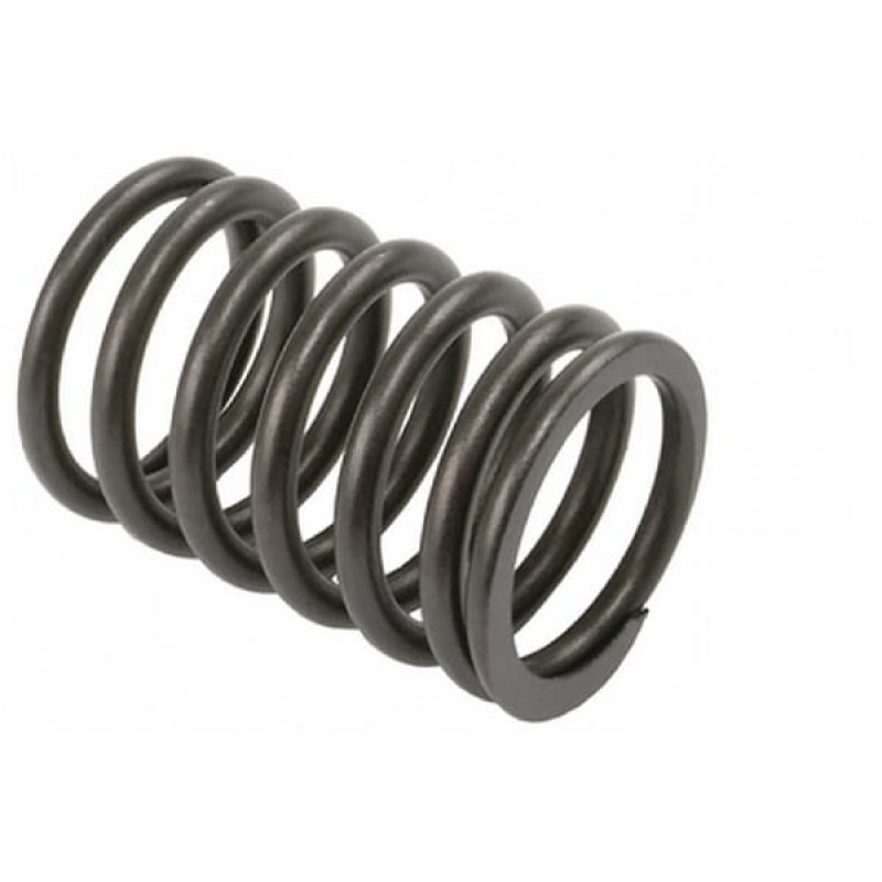 Vapormatic Valve spring  VPA2000