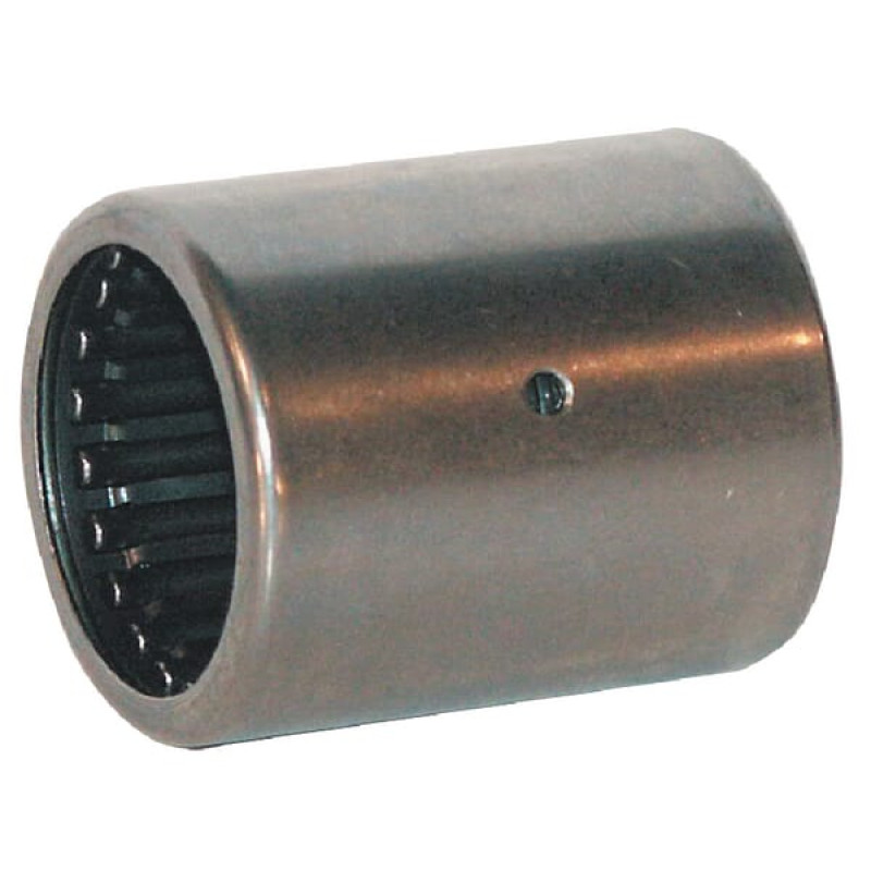 Ina/Fag Cup Needle Roller Bearing  BK3020