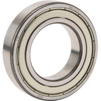 Ina/Fag Lodīšu gultnis 35x62x14mm 6007ZC3