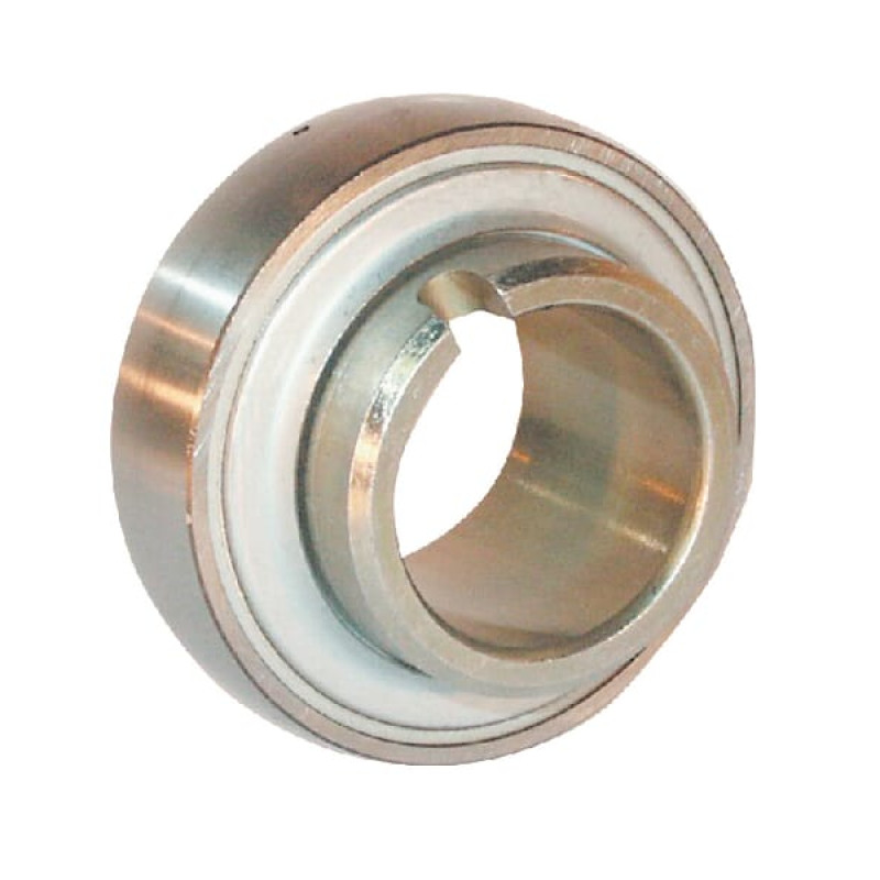 Ina/Fag Bearing insert 60x110x24mm   GLE60XLKRRB