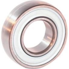 SKF Lodīšu gultnis 30x72x19mm 17263062RS