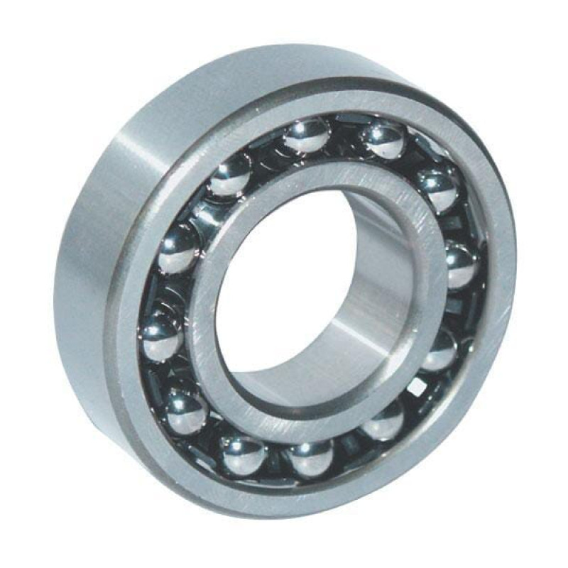 Ina/Fag Self-aligning ball bearing 25x52x15mm   1205TVHC3