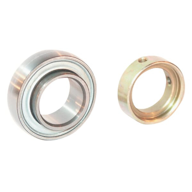 Ina/Fag Bearing insert 60x110x24mm   E60XLKRR