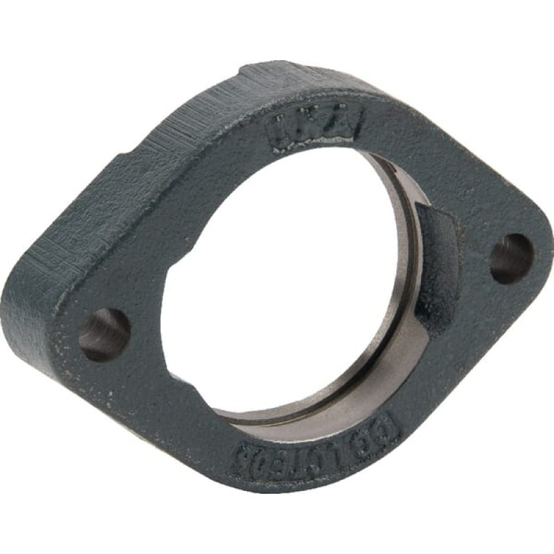 Ina/Fag Bearing housing  GGGLCTE05E