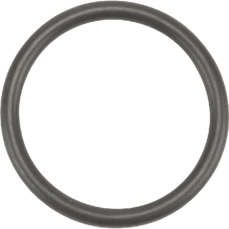 Merlo O-ring  ME043475