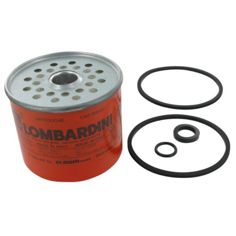 Lombardini Fuel filter   2175042