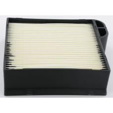 Kawasaki Air filter   110132154