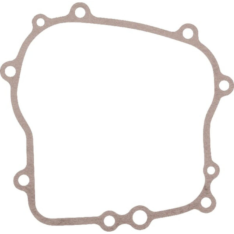 Kawasaki Crankcase gasket  110602142