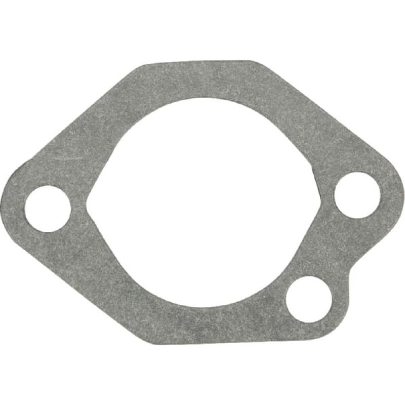 Kawasaki Gasket  110602334