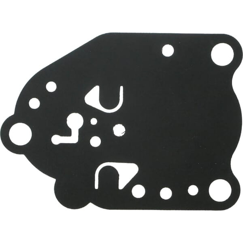 Kawasaki Diaphragm  430282057