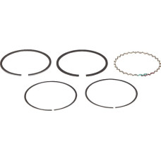 Kawasaki Piston rings  130086029