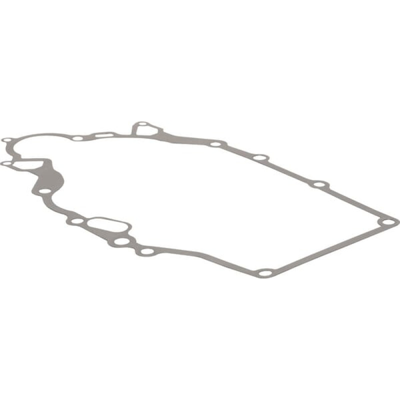 Kawasaki Crankcase gasket  110602449