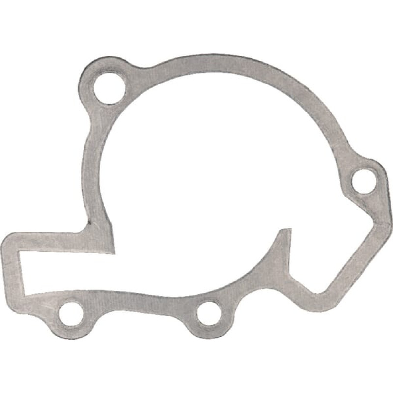 Kawasaki Gasket, water pump  110612088