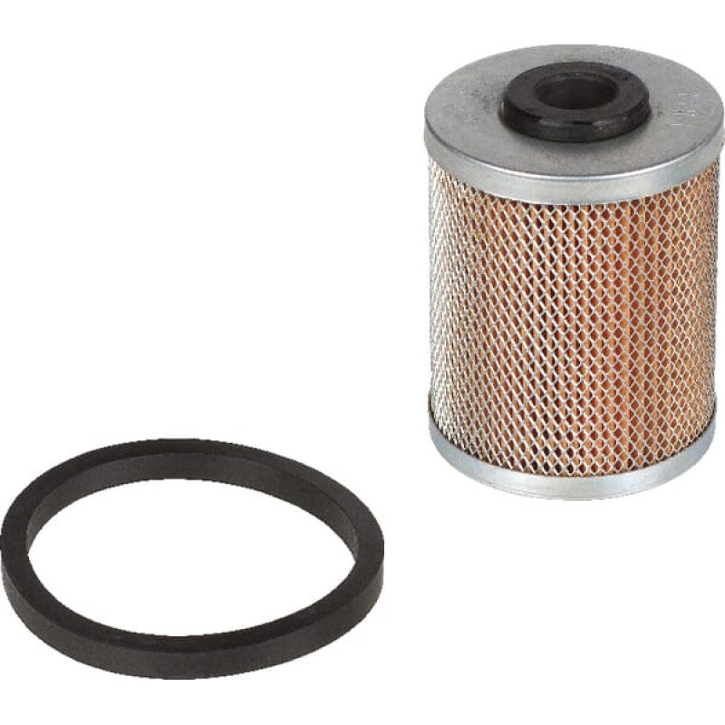 Lombardini Fuel filter in tank  2175205