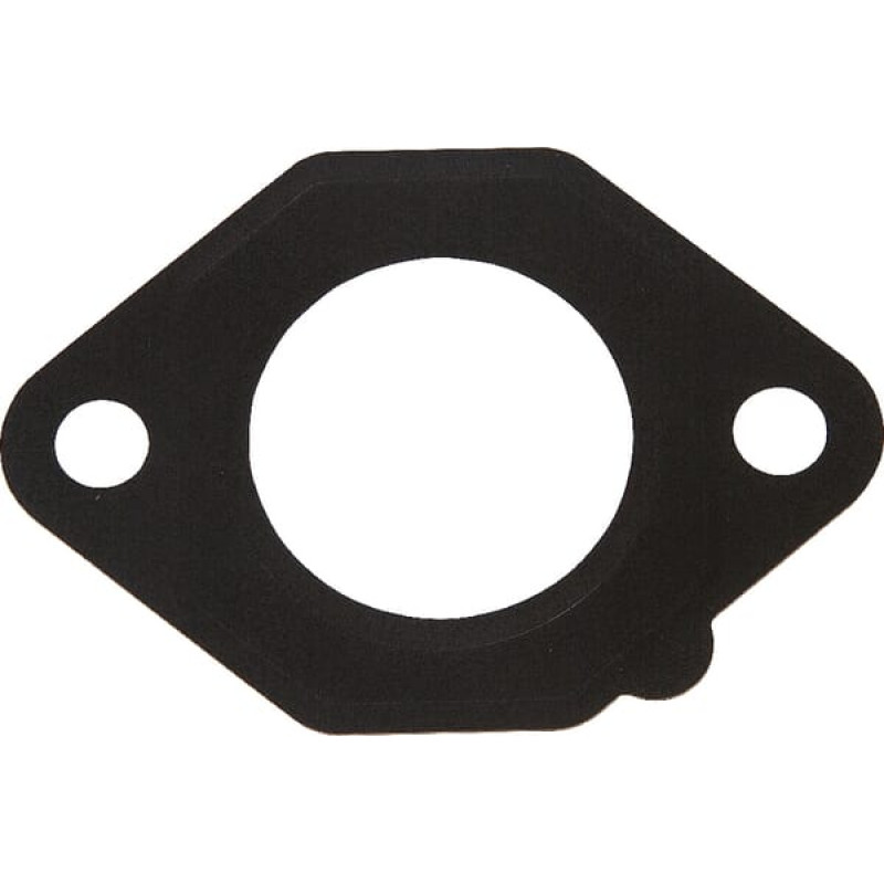 Kawasaki Intake gasket  110092827