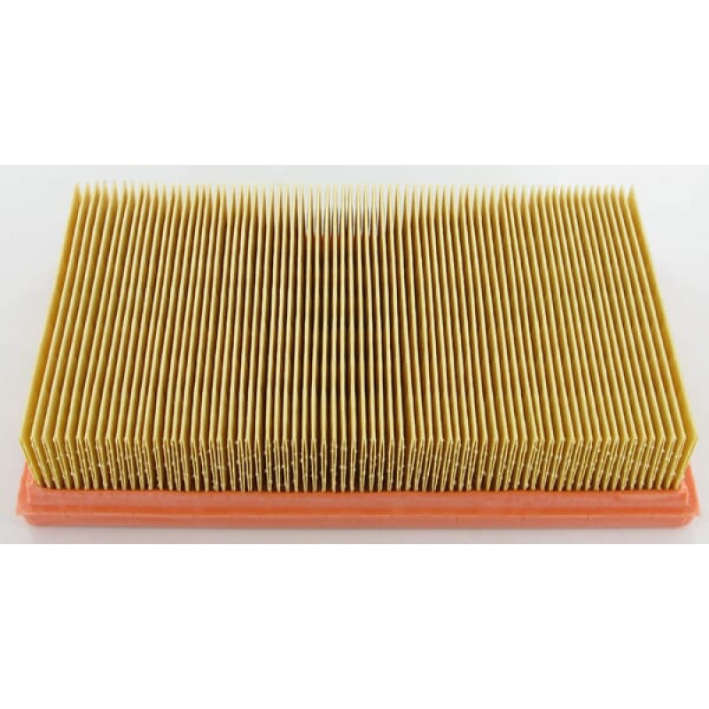 Lombardini Air filter   2175164