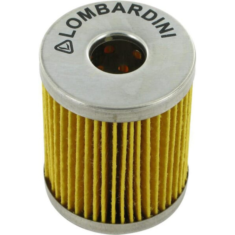 Lombardini Fuel filter   2175032