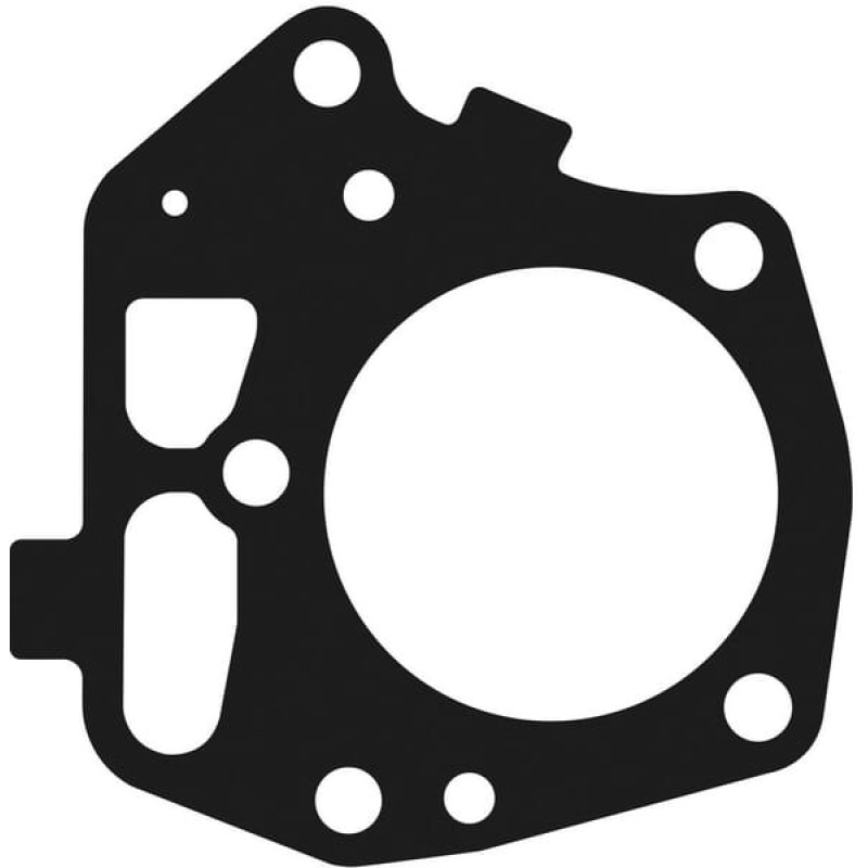 Kawasaki Cylinder head gasket  110047027