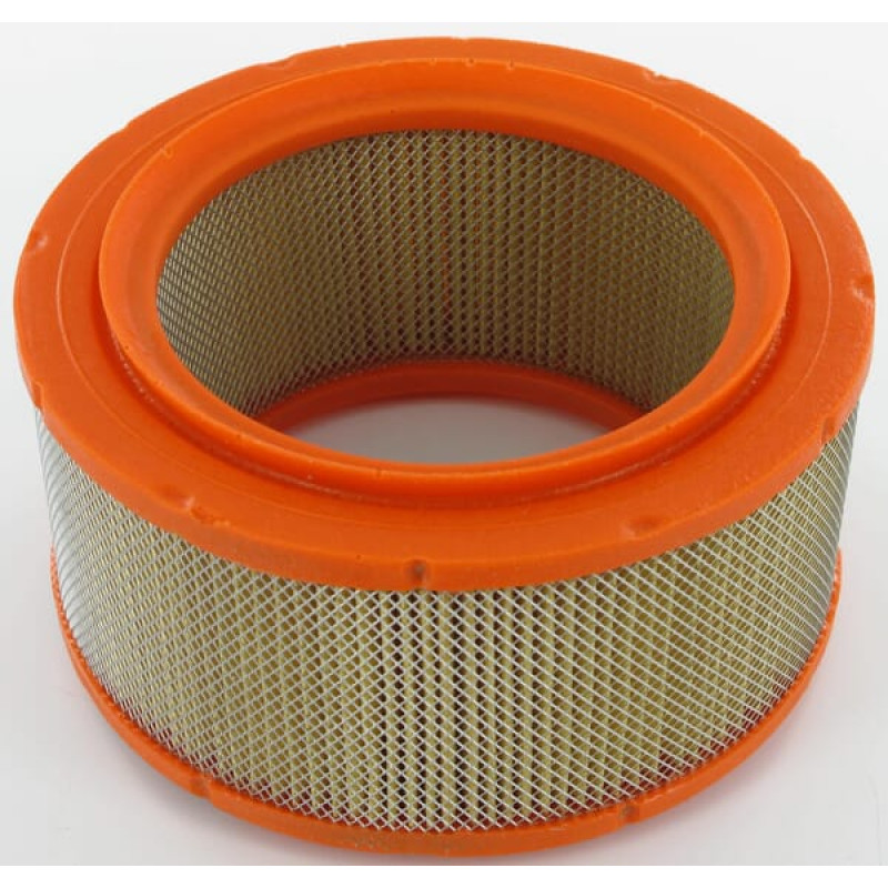 Lombardini Air filter   2175050