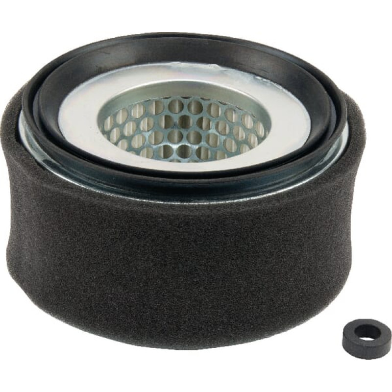 Lombardini Air filter   2175252