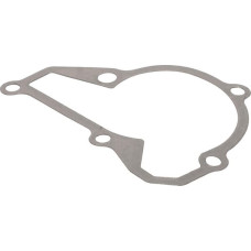 Kawasaki Pump cover gasket  110602451