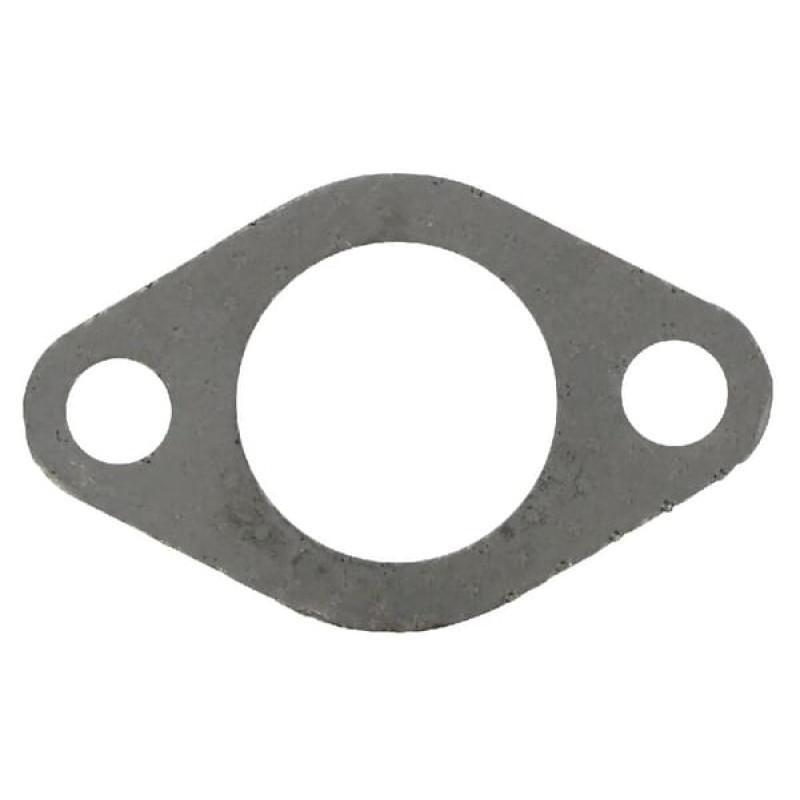 Kawasaki Exhaust gasket  110092487